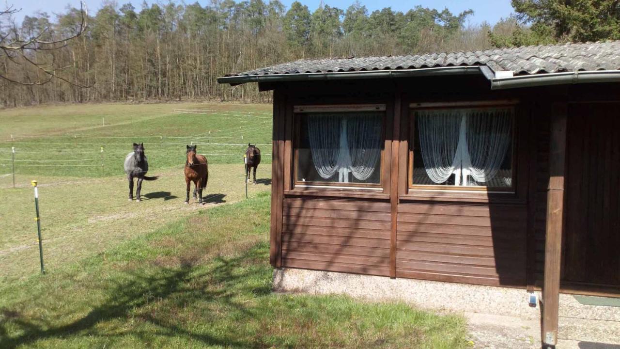 Apartment Reitstation Roßmühle Gräfendorf